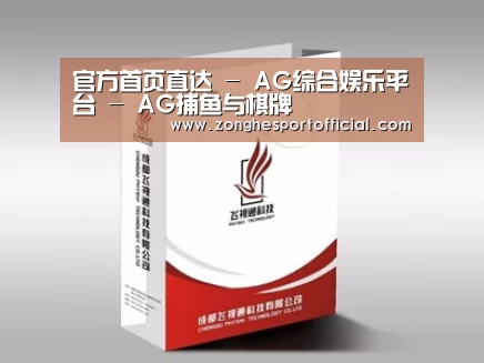 项目名称十三
