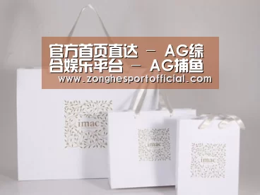 项目名称十一