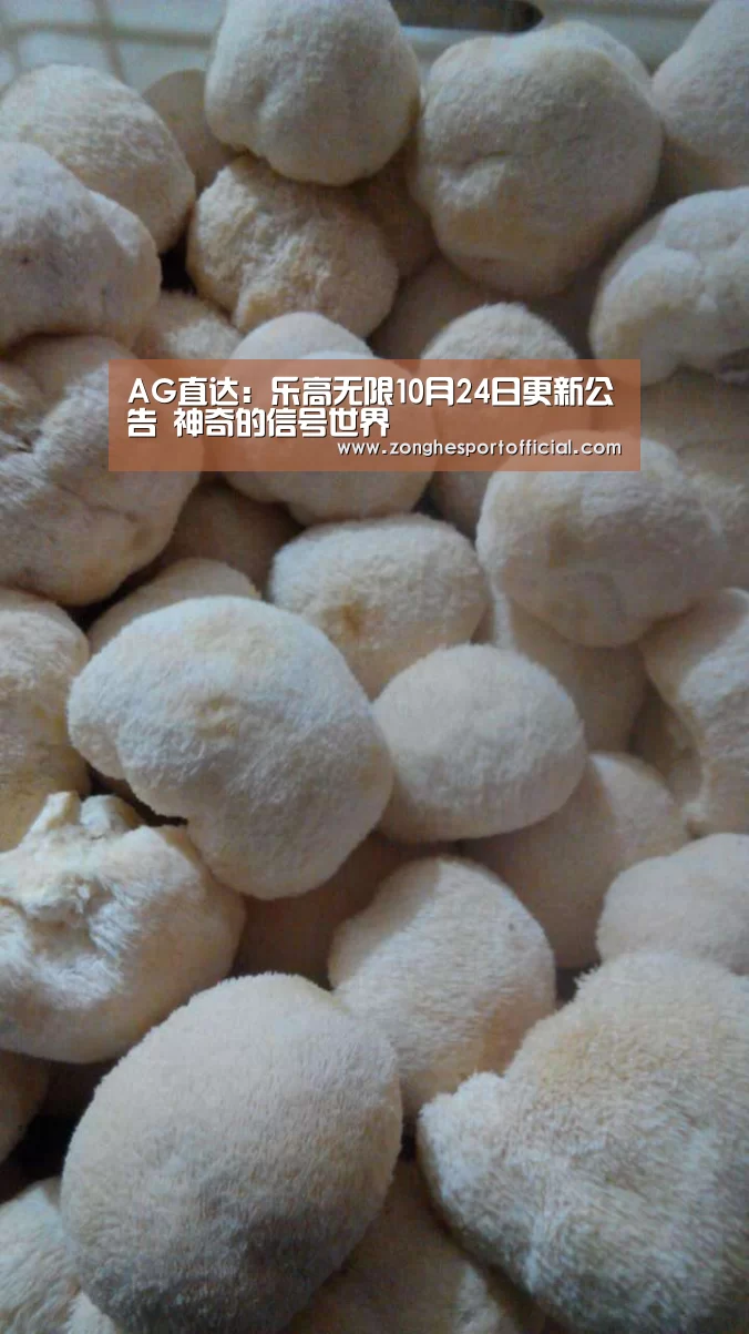 AG直达:乐高无限10月24日更新公告 神奇的信号世界(图2) AG捕鱼
