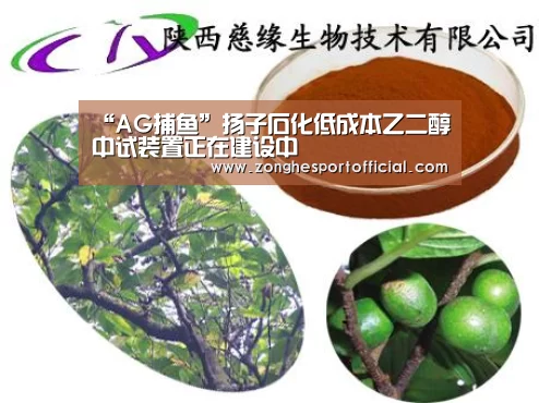 “AG捕鱼”扬子石化低成本乙二醇中试装置正在建设中(图1) AG棋牌