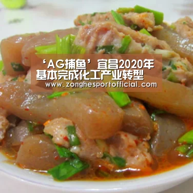 ‘AG捕鱼’宜昌2020年基本完成化工产业转型(图2) AG棋牌